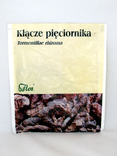 Kłącze pieciornika